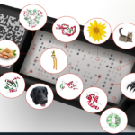Umfassendes Allergie-Screening mittels molekularer Blutanalyse