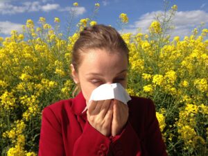 Beispielbild Allergie